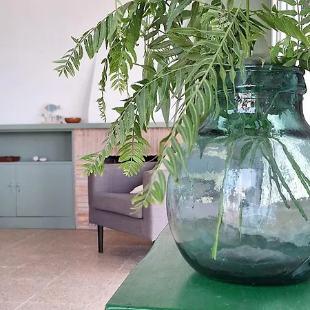 Cozy Next To The Apartament